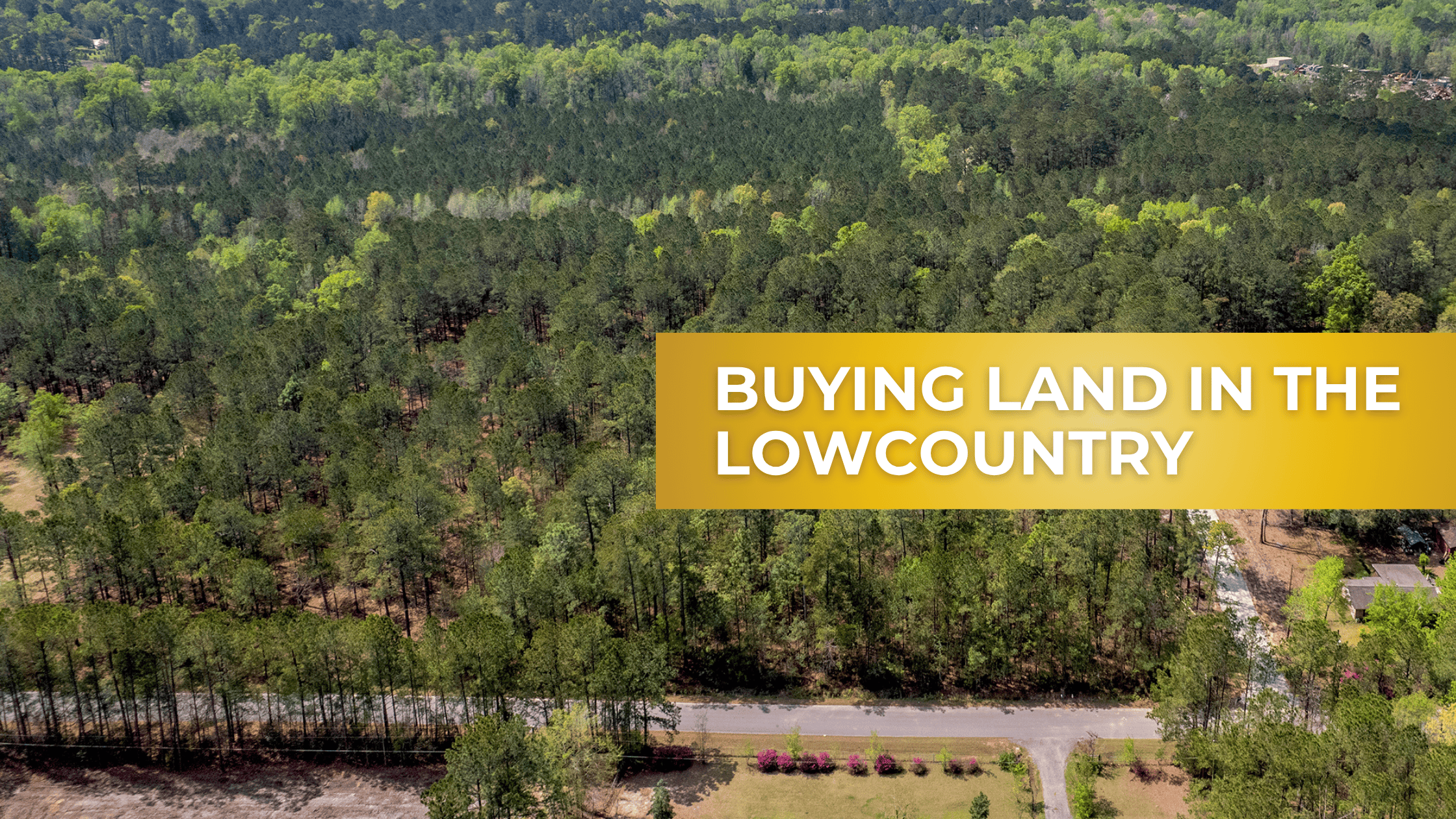 5 Things to Look for When Buying Land in the Lowcountry